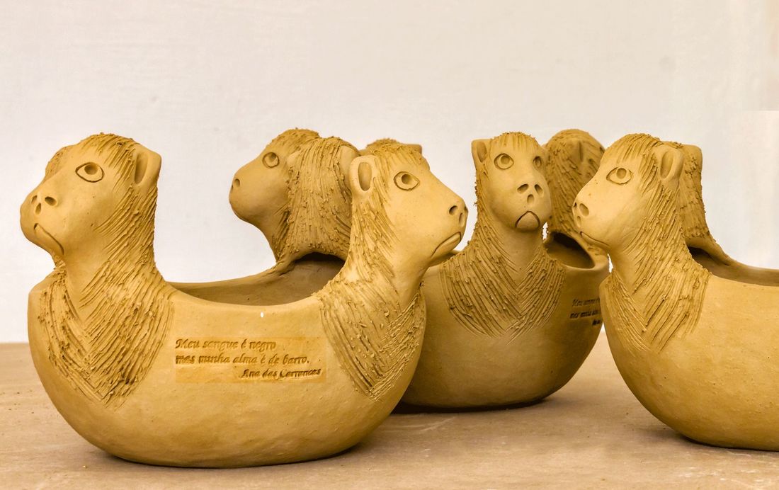 Artista Ana das Carrancas