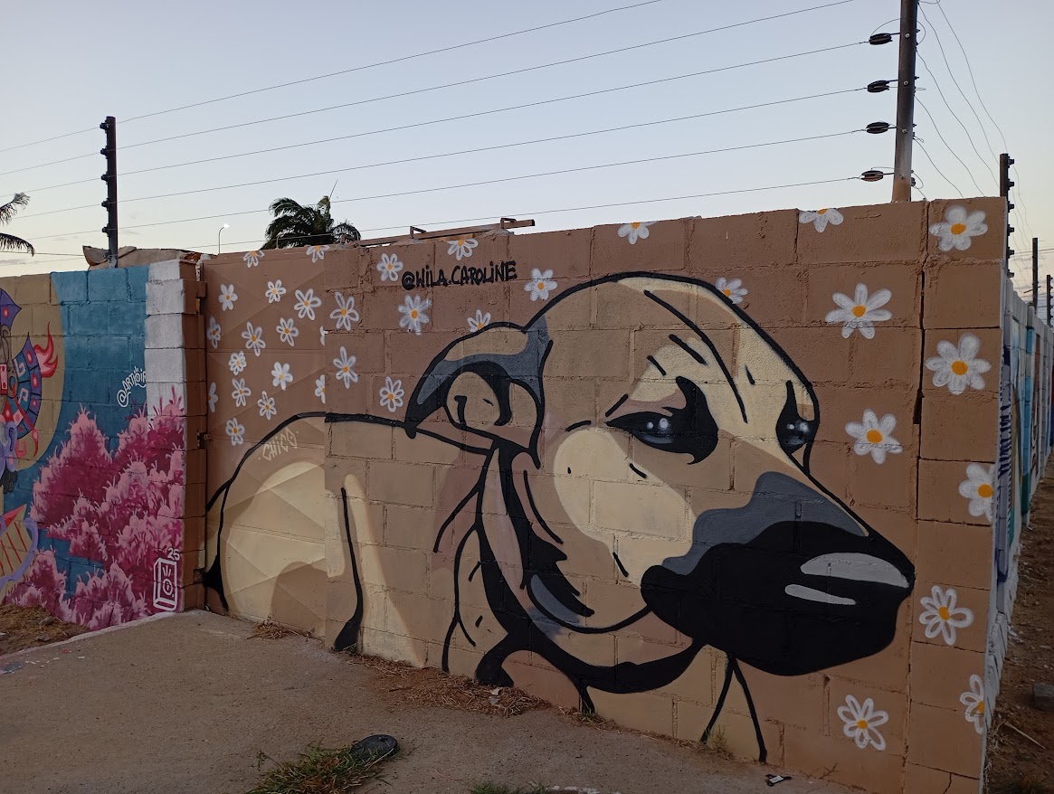 Orla Petrolina - Via www.google.com/maps/